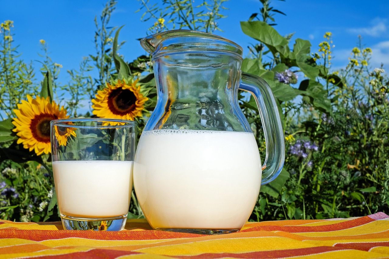 Diferentes alimentos proteicos distribuídos para mostrar proporções diárias